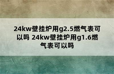 24kw壁挂炉用g2.5燃气表可以吗 24kw壁挂炉用g1.6燃气表可以吗